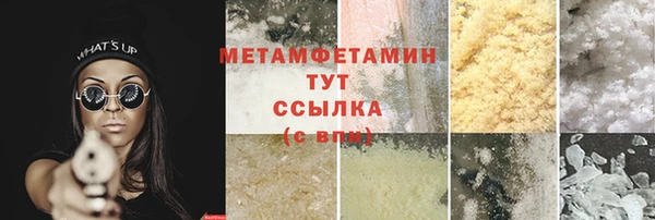 шишки Белокуриха