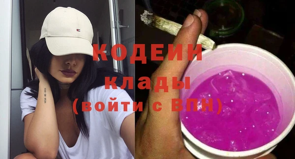 шишки Белокуриха