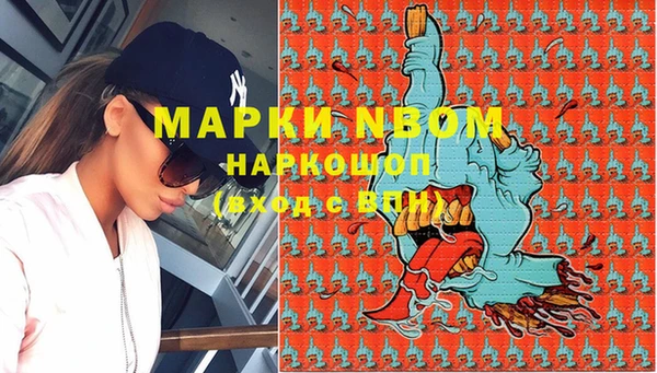 шишки Белокуриха