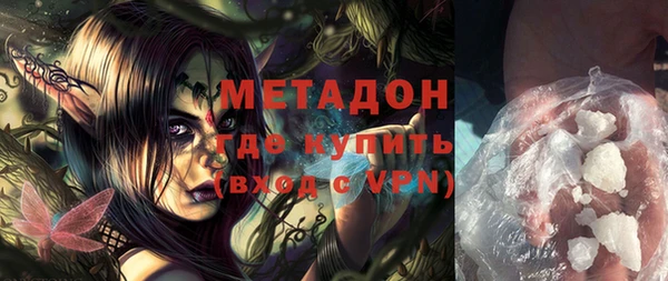 шишки Белокуриха