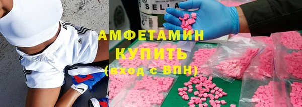 шишки Белокуриха