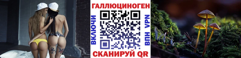 Галлюциногенные грибы Magic Shrooms  гидра как войти  Красный Холм  сколько стоит 